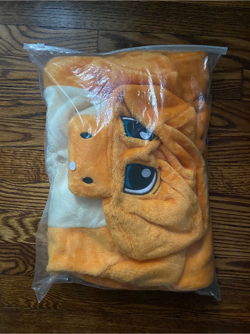 Pokémon costume